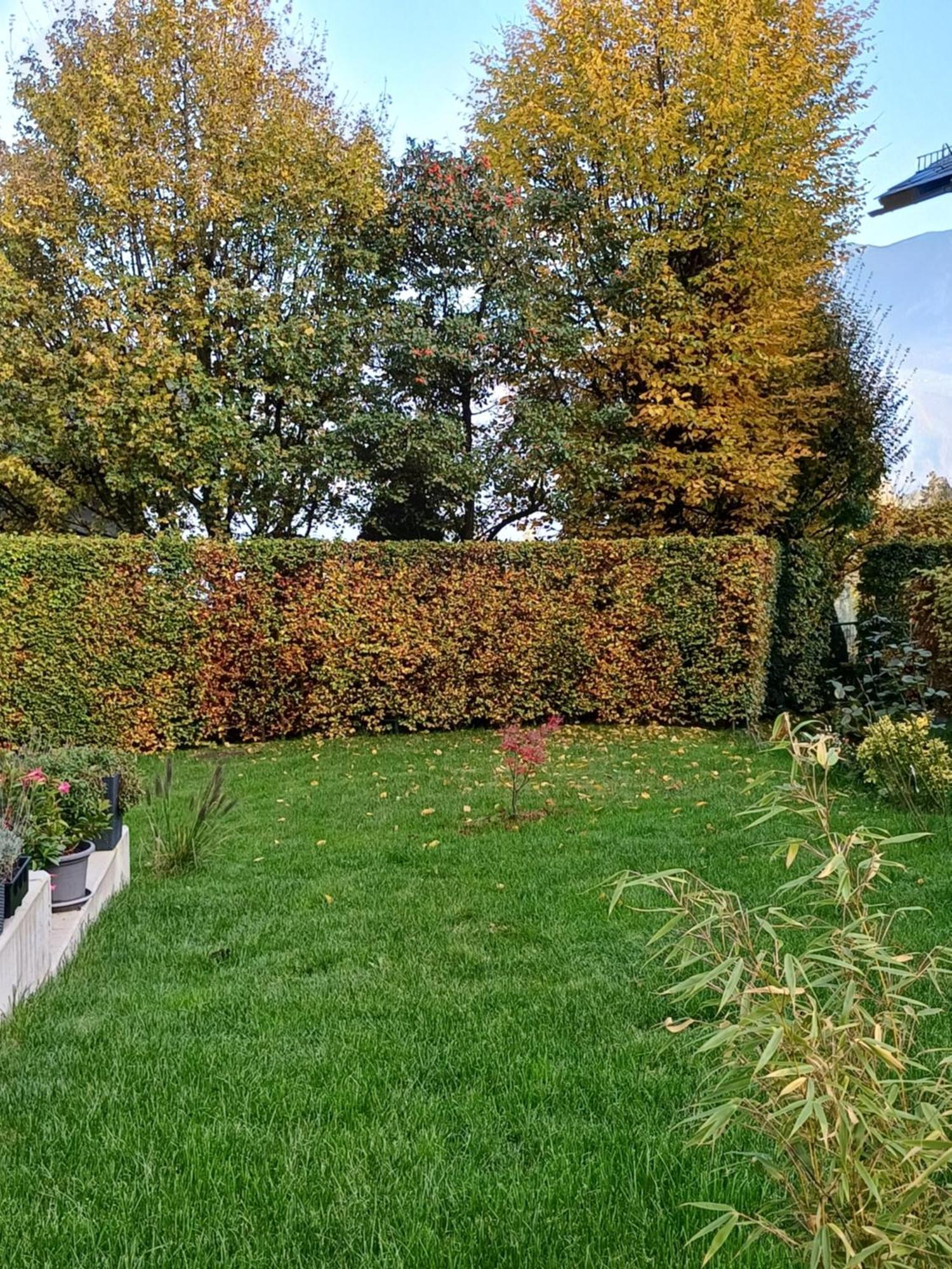 Ferienwohnung Claudia Mit Terrasse Nussdorf am Attersee Esterno foto